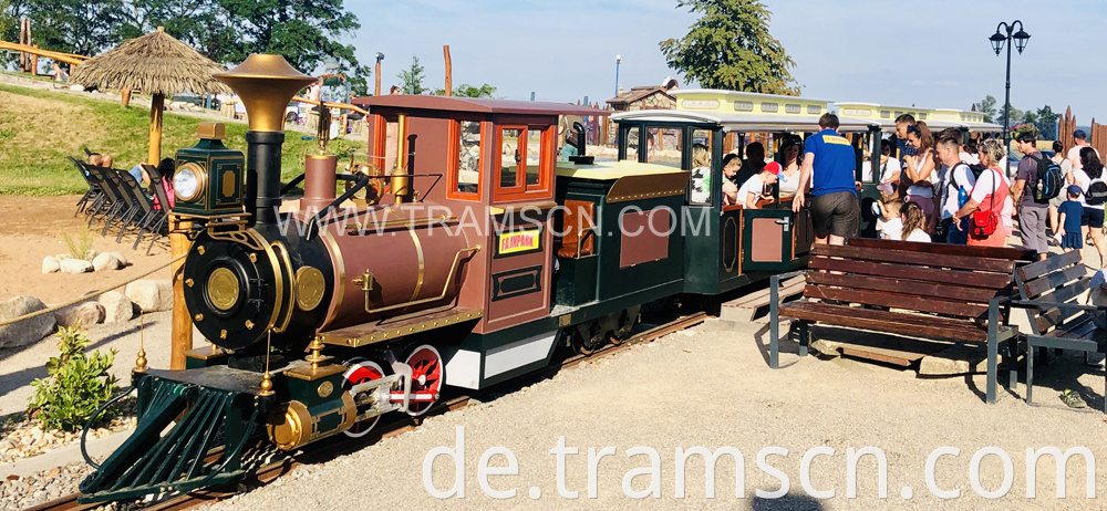 Rail Trains brown colour